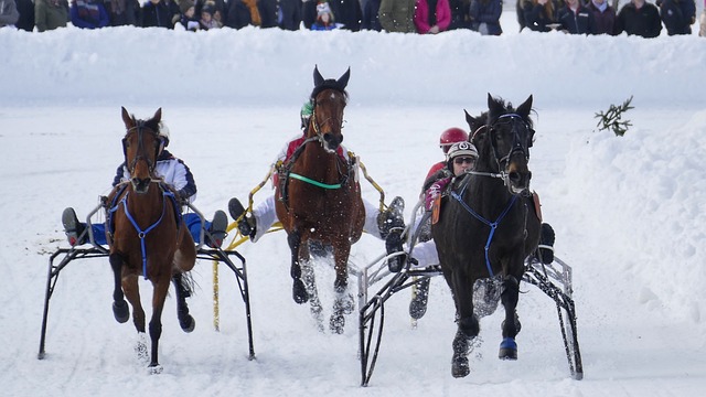 贝尔萨：我是个毒瘤，是那种会让环境变得紧张的人